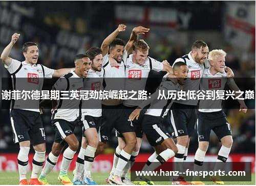 谢菲尔德星期三英冠劲旅崛起之路：从历史低谷到复兴之巅